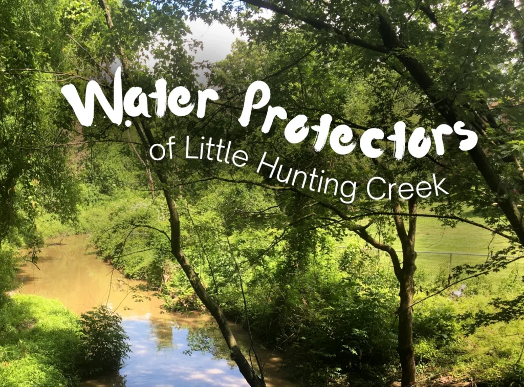 A forested stream (Little Hunting Creek) in summer. Writing on the image says Water Keepers of Little Hunting Creek.