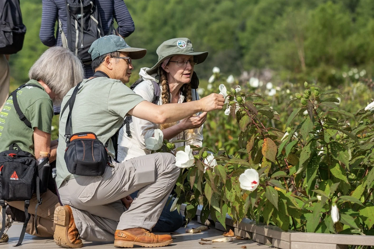 Field trips and nature classes