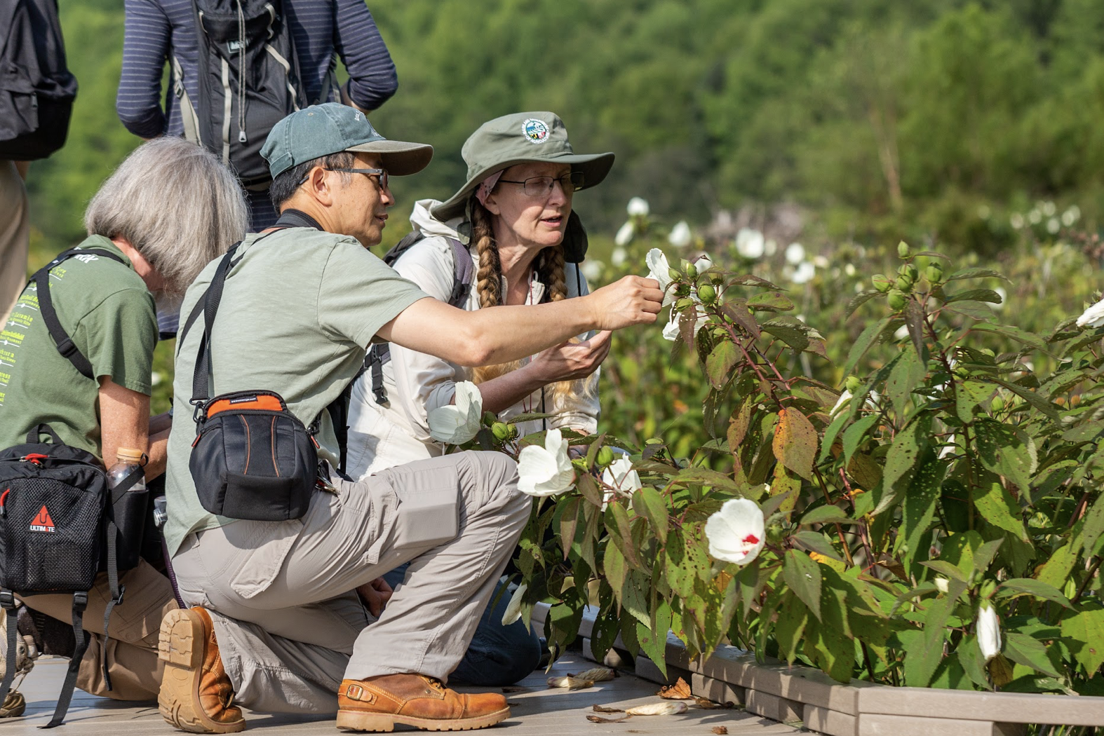 People looking at the flower