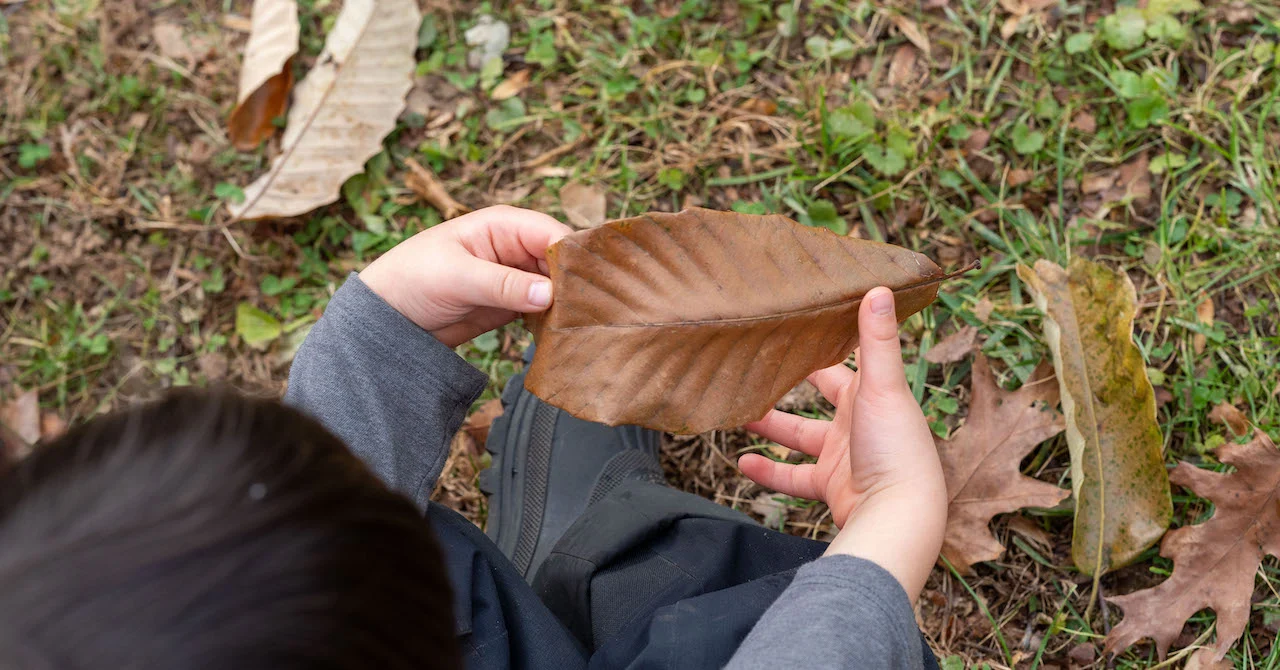 Kid holding a leaf