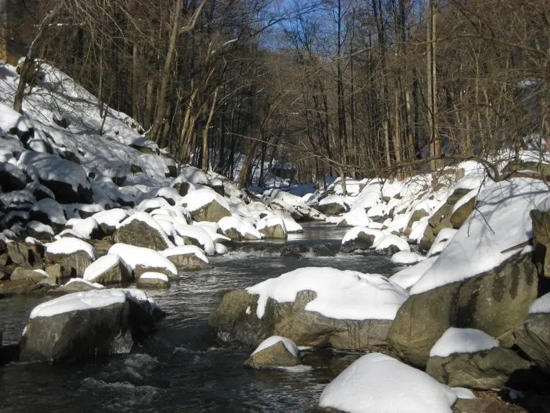 Snowy stream