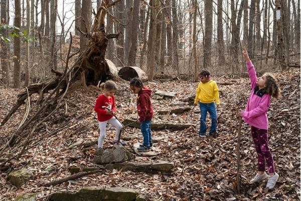 Belonging: A Taking Nature Black / U.S. Forest Service Photo eBook