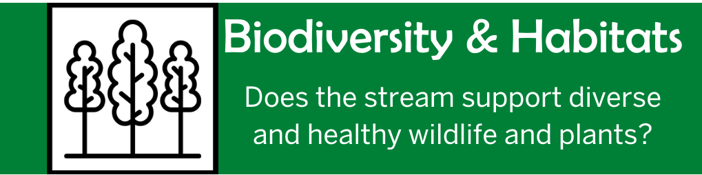 Biodiversity & Habitats: Does the stream support diverse and healthy wildlife and plants?