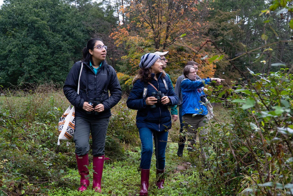 People in the forest