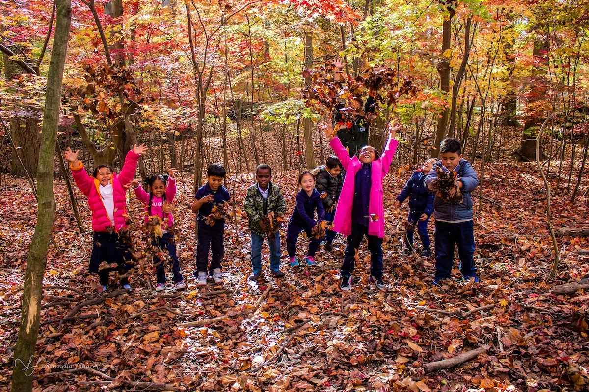 Children playing with leaves at Woodend Nature Sanctuary