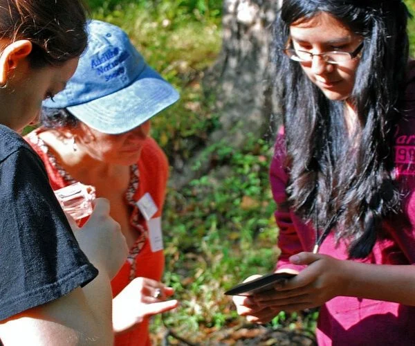 Creek Critters | nature app and engagement activity