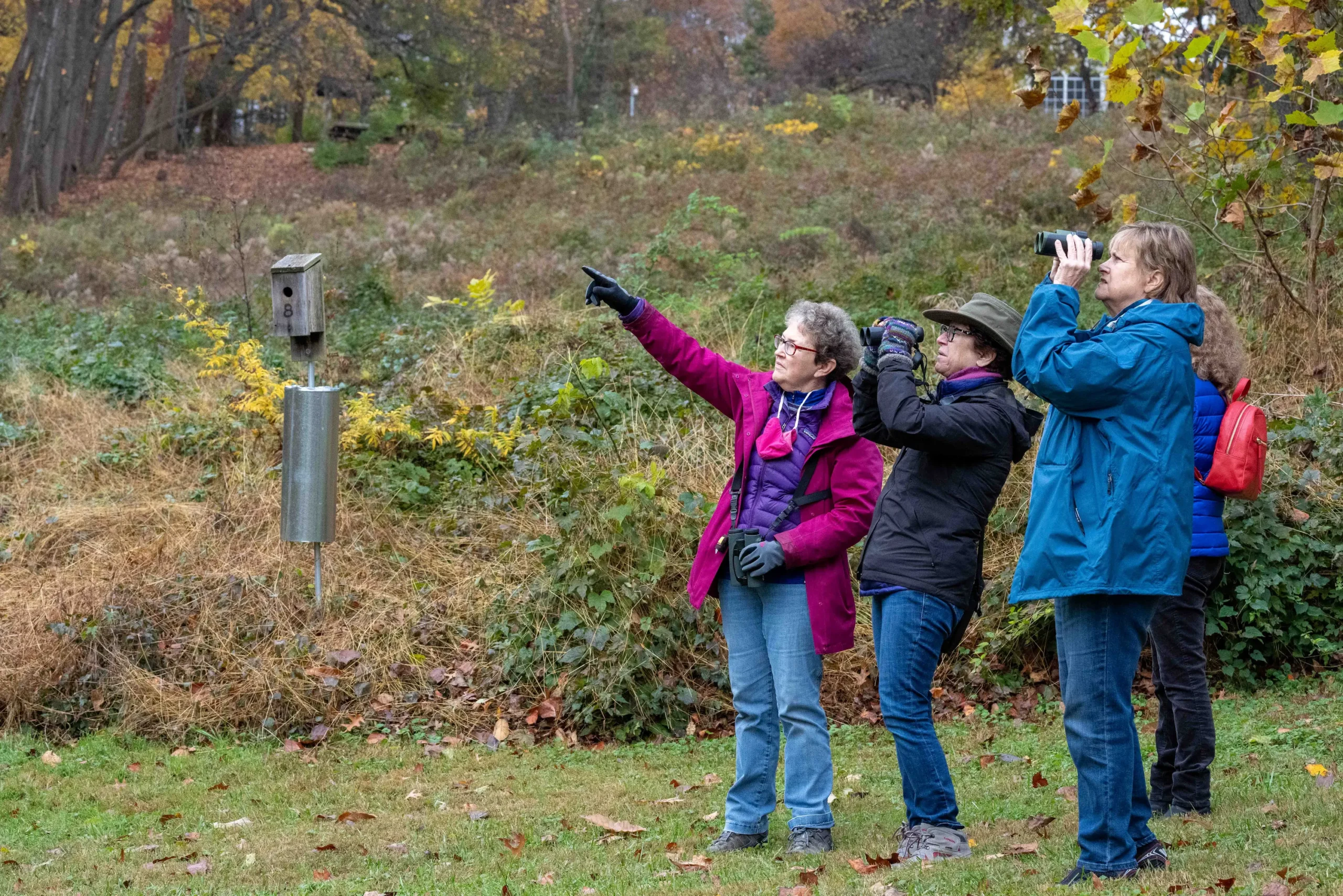 A guide points off into the distance while three people observe through their binoculars