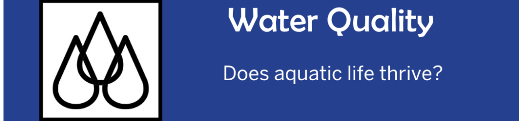 Water Quality: Does aquatic life thrive?