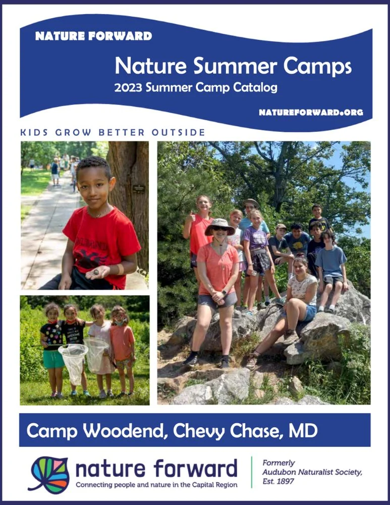 2023 Nature Forward Summer Camp Catalog