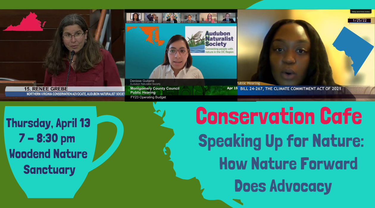 Conservation Café: Speaking Up for Nature: How Nature Forward Does ...