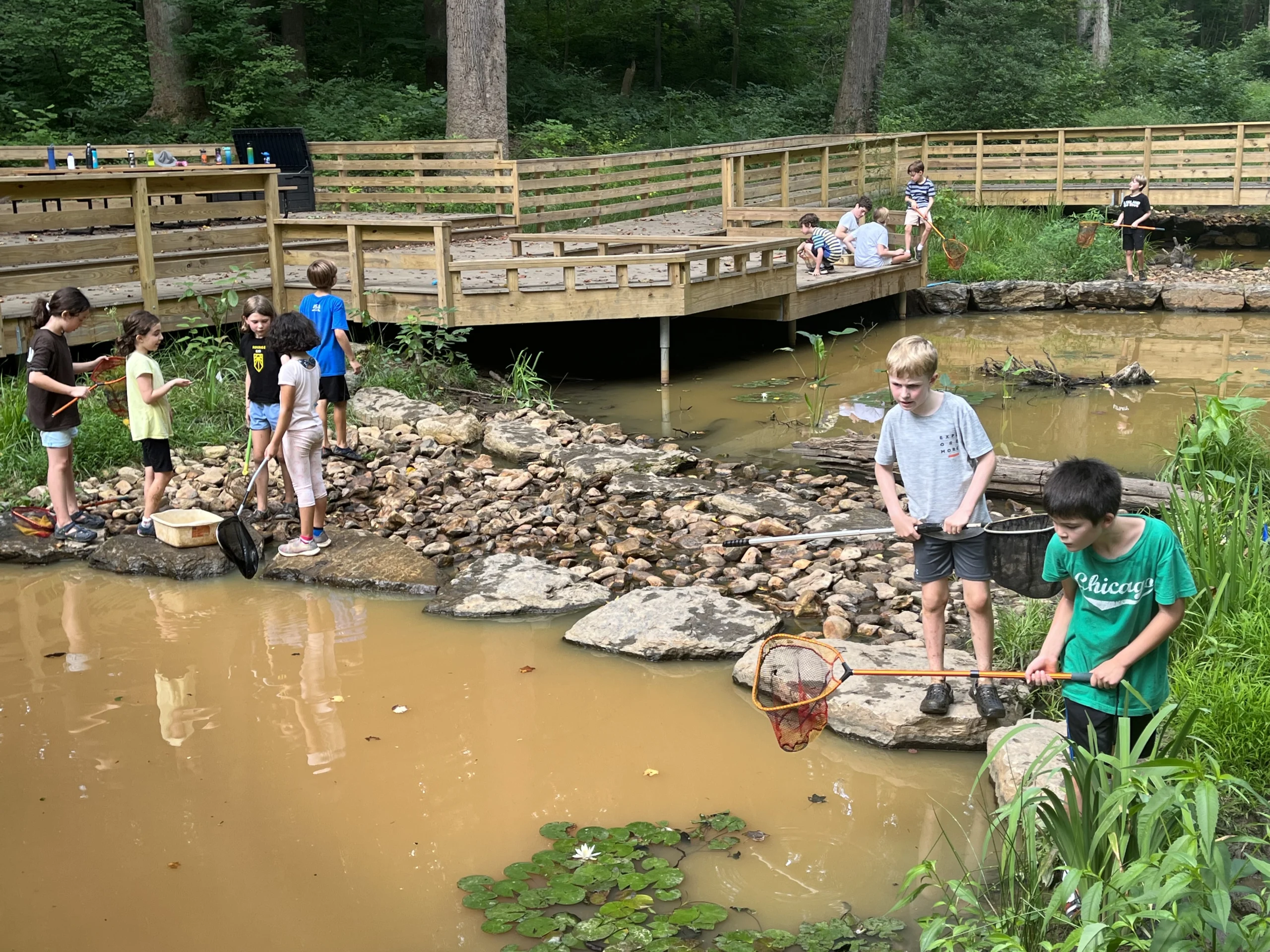 Children stand solo and in groupings around a pond. There is a wooden deck, lush green vegetation, and large rocks for the kids to stand on. A boy in the foreground holds a dip net to look for aquatic insects in the pond.