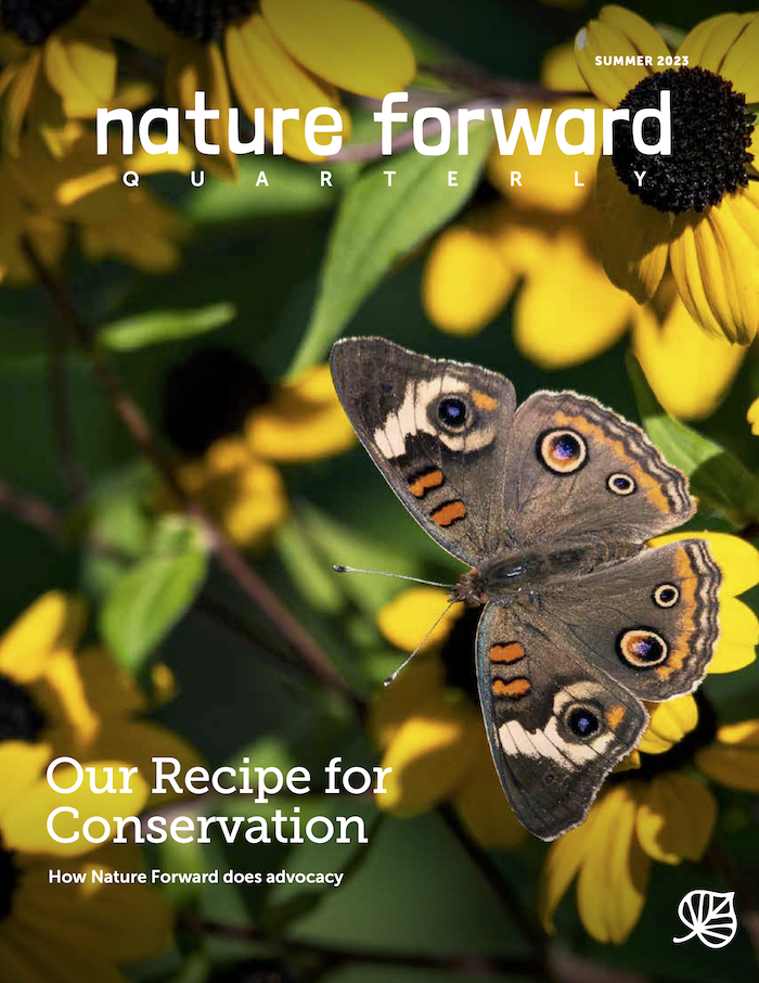 Nature Forward Quarterly Summer 2023