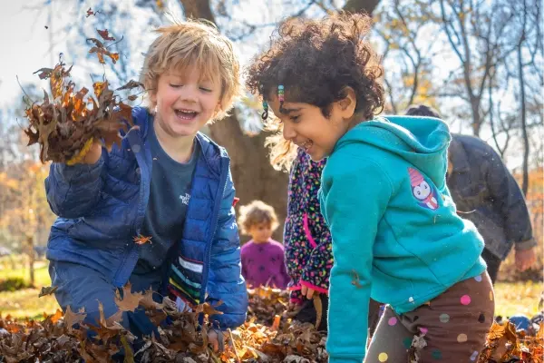 Preschool children playing in a pile of fall leaves