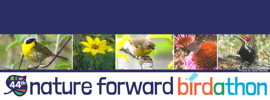 2024 Nature Forward Birdathon logo including images of birds and wildflowers