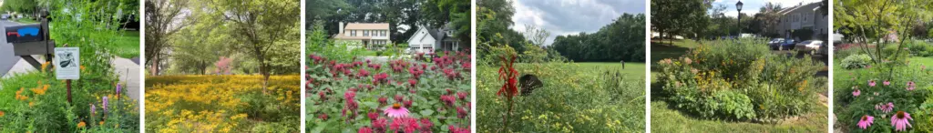 Six different photo examples of conservation landscaping in HOAs.