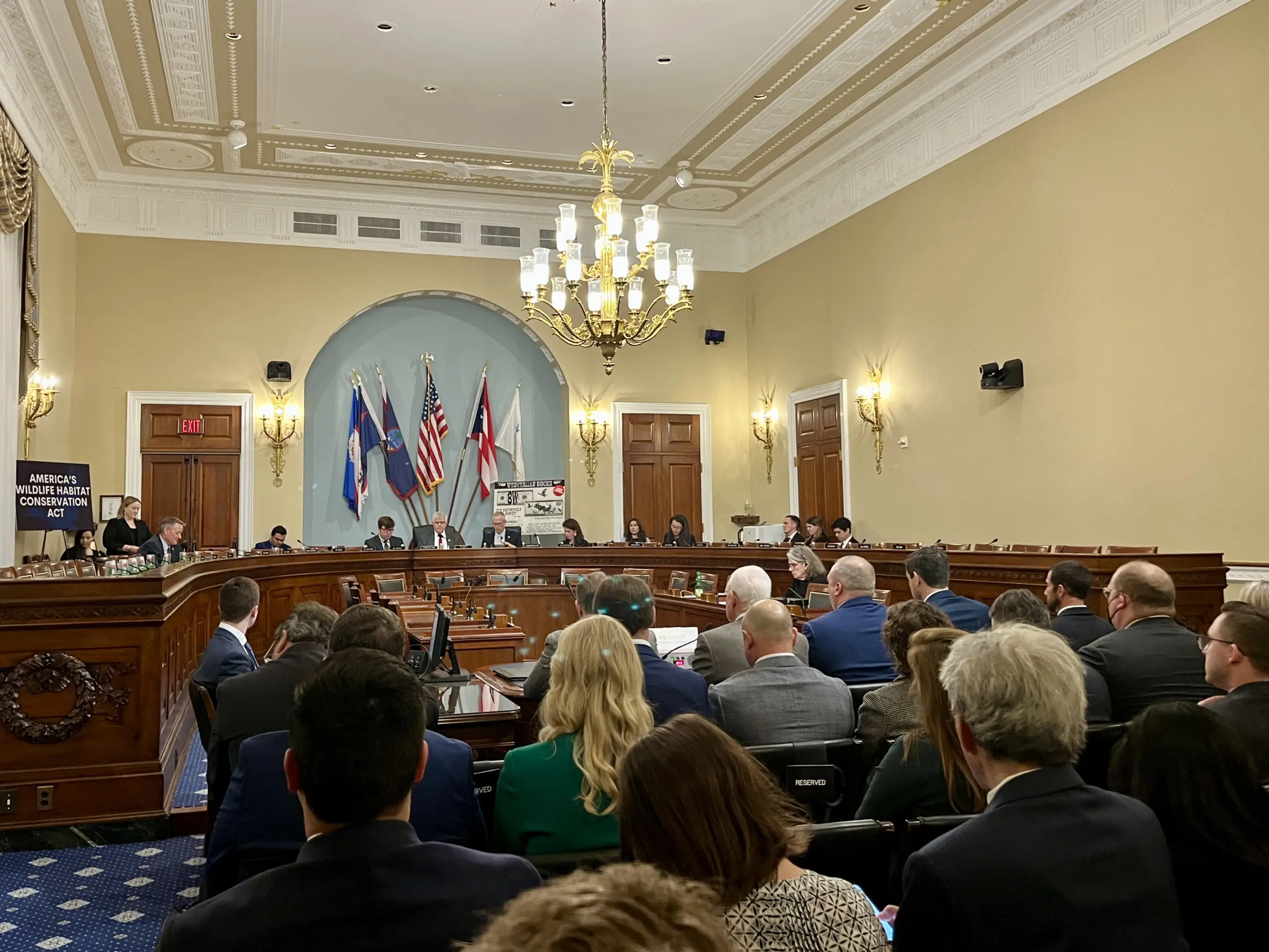 Nature Forward's Renee Grebe listened in on a Committee on Natural Resources, Subcommittee on Water, Wildlife and Fisheries, legislative hearing on H.R. 7408 (Rep. Westerman), “America's Wildlife Habitat Conservation Act”.