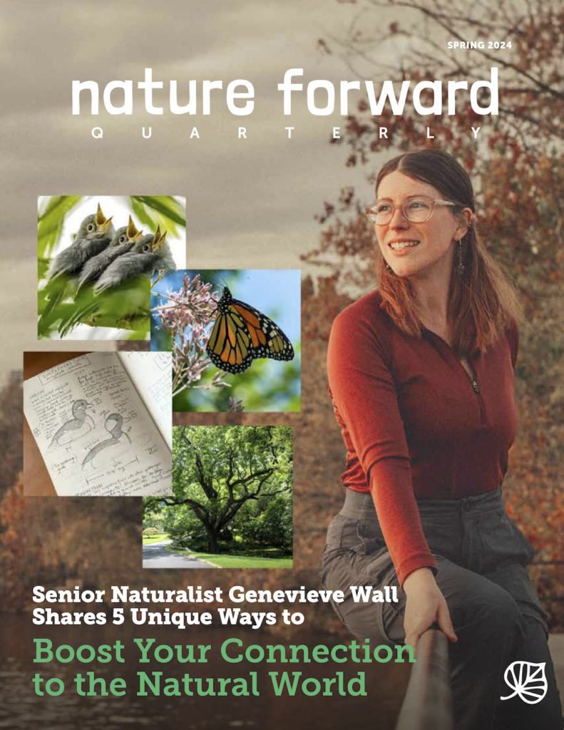 Cover to the Spring 2024 Nature Forward Quarterly feathers of photo of Senior Naturalist Genevieve Wall