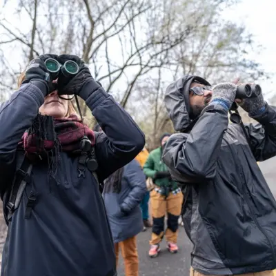 two men with binoculars looking for birds