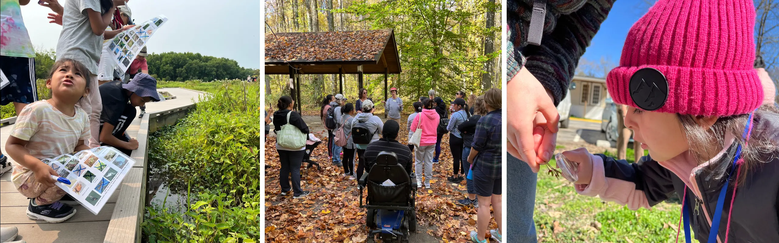 Collage of residents enjoying parks: a little girl exploring a wetlands, a group of adults talking in a circle surrounded by a forest in fall color, and a girl using a microscope to look at maple leaf seed pods.