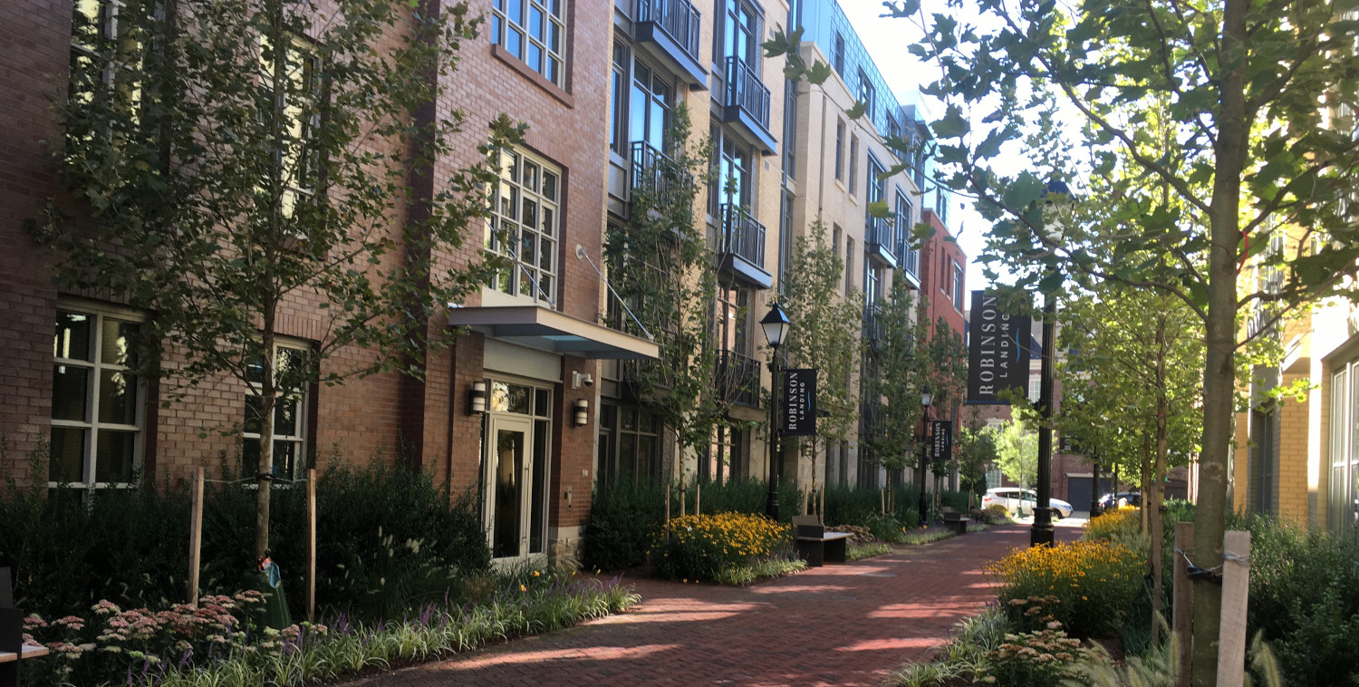 Guide better  development in Fairfax Co.!