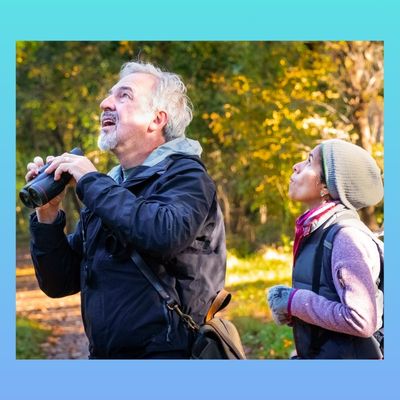 A man and a woman birding in a wooded area.