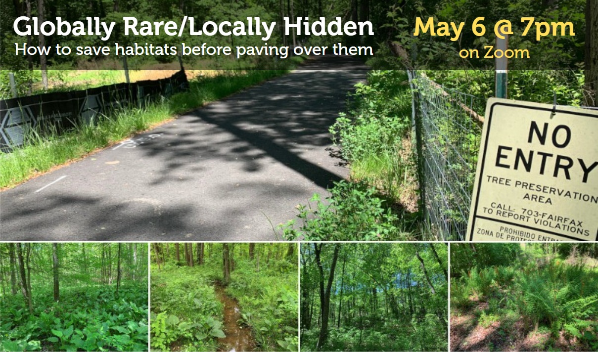 Photos of the nature of Newington Conservation Area & bike path; Photo credit: Philip Latasa