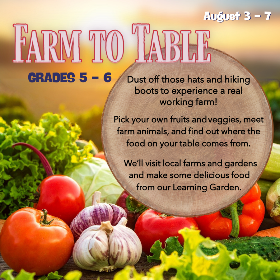 This class for graders 5 and 6 combined garden knowledge and cooking. Dust off those hats and hiking boots for an adventure into the farms of Maryland. Experience a real working farm, pick your own fruits and veggies, meet farm animals, and find out where the food on your table comes from. We will visit local farms and gardens and make some delicious food from our Learning Garden.    
