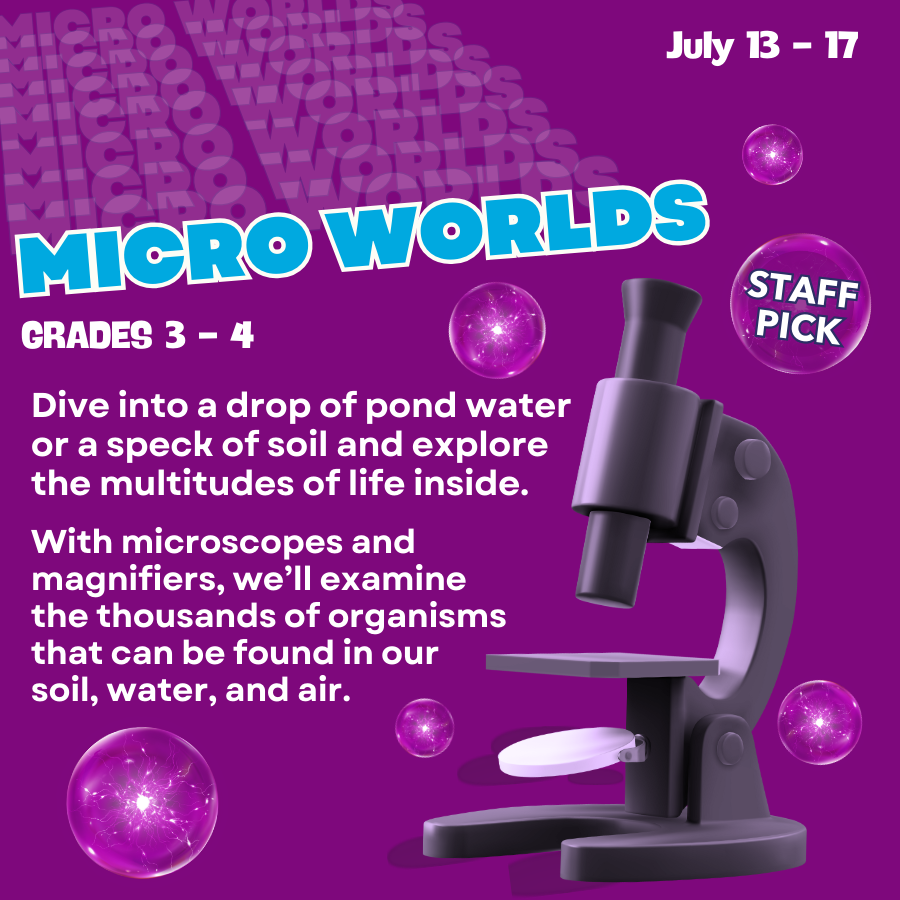 Dive into a drop of pond water or a speck of soil and explore the multitudes of life inside. We’ll use microscopes and magnifiers to explore the thousands of organisms that can be found in our soil, water, and air.  Great nature science camp for grades 3 and 4. 