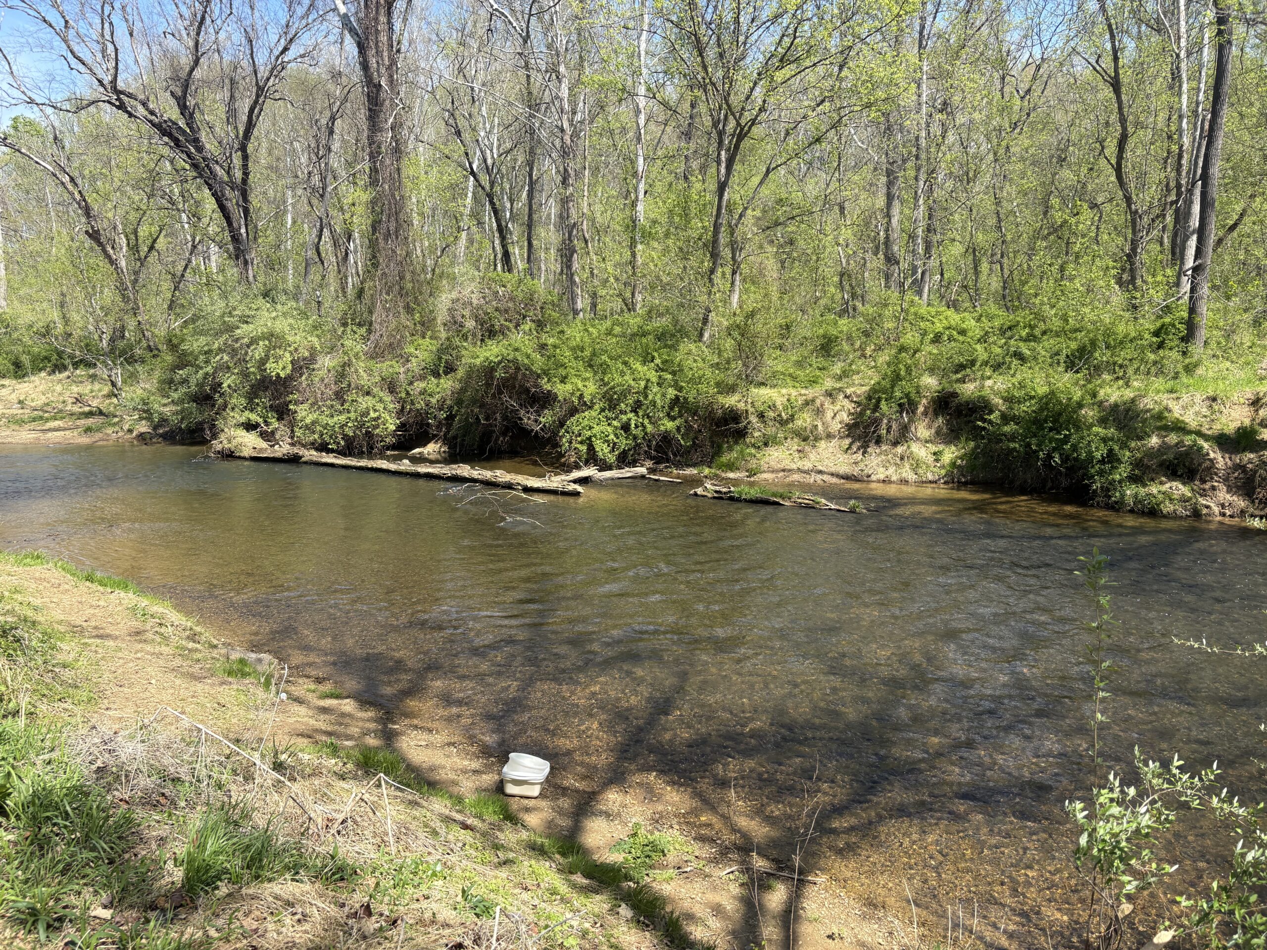 Shallow creek with two plastic bins in foregroudnd