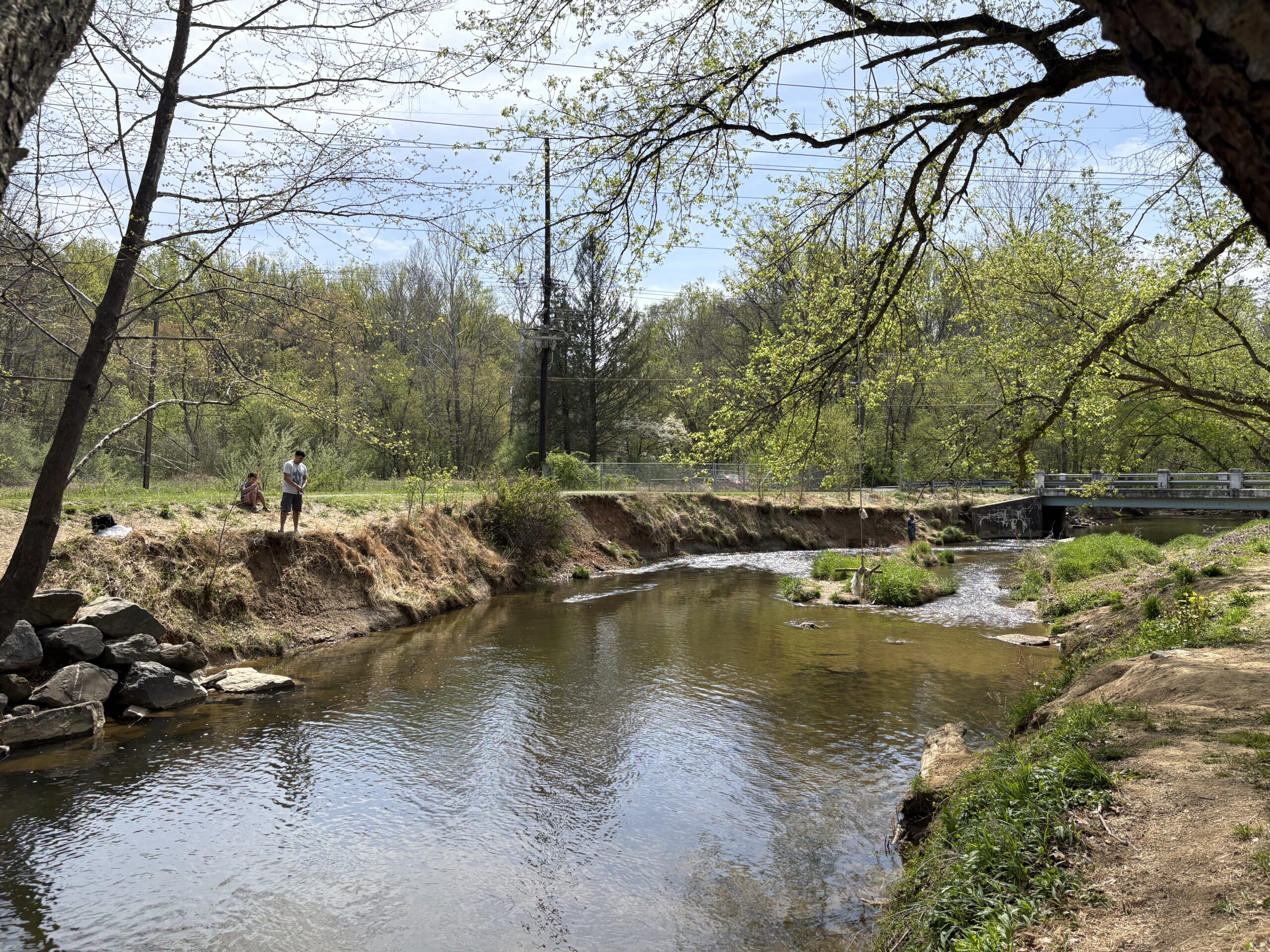 Creek Chronicles: Great Seneca Creek