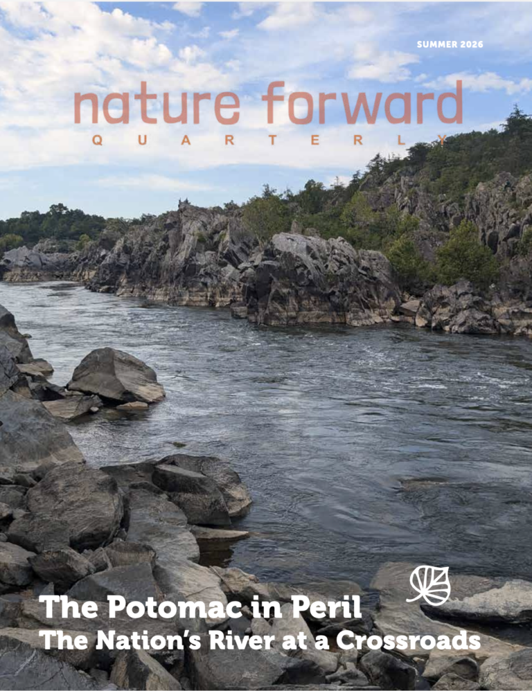 - Nature Forward