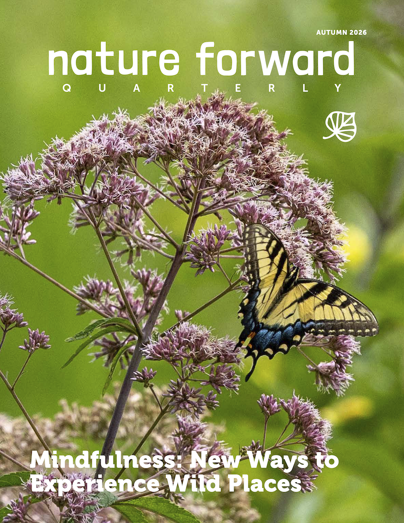 Cover of the Autumn 2026 edition of Nature Forward Quarterly