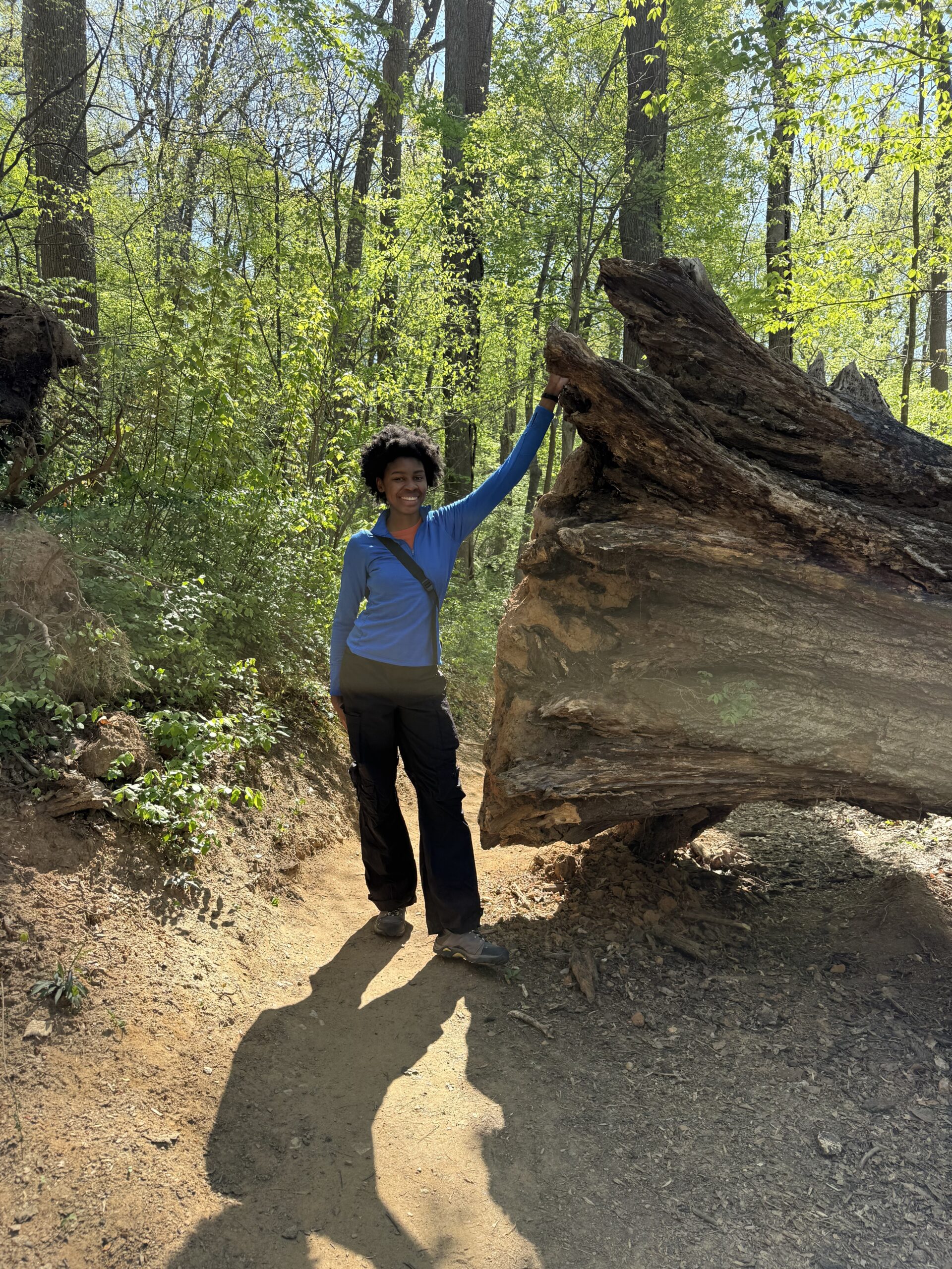 Black woman with an afro hair style playfully standing upright to the left of a fallen, uprooted tree in Rock Creek Park. The base of tree, now vertically positioned after falling, is taller than the woman who stands at 5'9", illustrating the massive size of the tree. She is wearing a blue quarter-zip top, Black pants, and hiking boots.