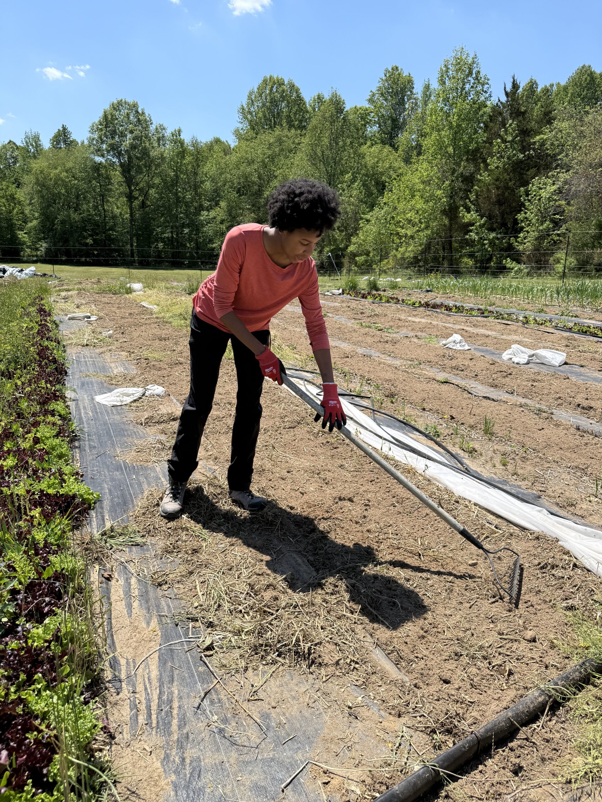Black woman in a salmon-colored long sleeve top and black pants raking soil at a farm owned by a Black-woman in Maryland.